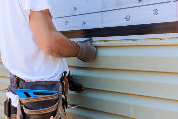 Best Custom Trim and Detailing for Siding  in Mount Olive, MS